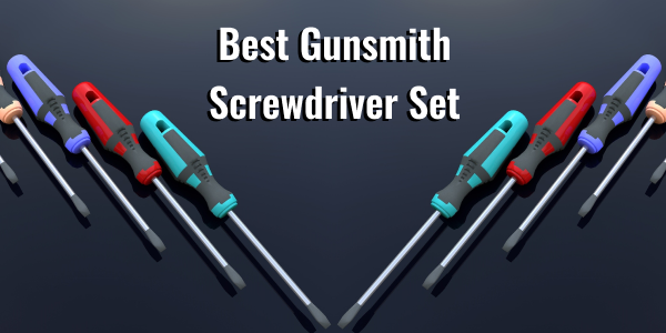Best Gunsmith Screwdriver Set
